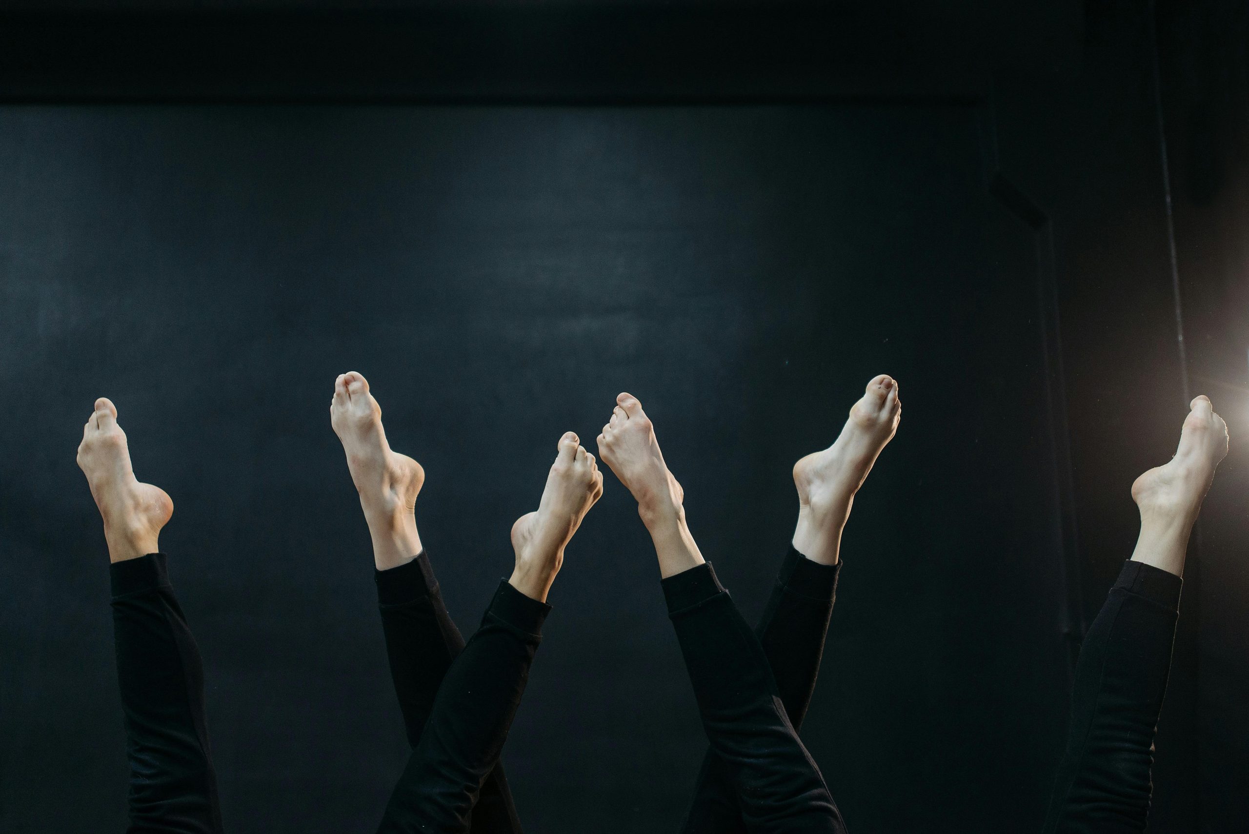 Actualités du Département Danse